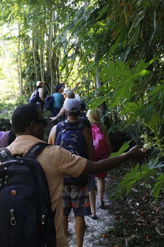 NADI: Nalesutale Village Half Day Tour - Final Thoughts