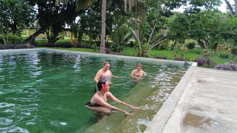 NADI: Sabeto Tifajek Mudpool & Hot Spring Tours & Tickets - The Sum Up: Why Choose the Sabeto Tifajek Mudpool & Hot Spring Tour?