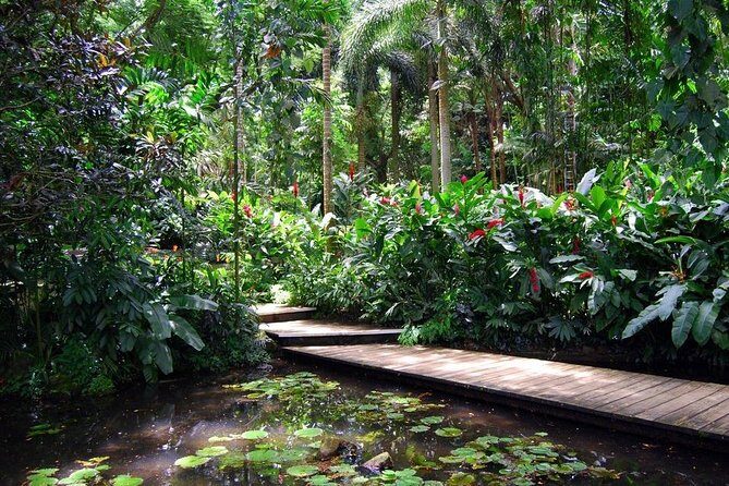 Nadi Sightseeing Including Viseisei Lookout, Village Tour, Garden & Temple Tour - Who Should Book This Tour?