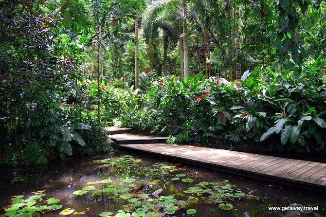 Nadi Sightseeing & Mud Pool Tour - Ex Fiji Marriott, Momi Bay - What to Expect from the Nadi Sightseeing & Mud Pool Tour