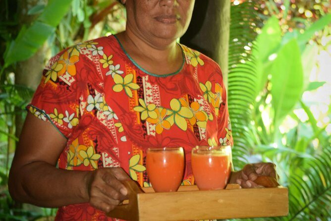Nadi Therapeutic Mud Pools and Garden Tour - Shore Excursions EX PORT DENARAU - Who Will Love This Tour?