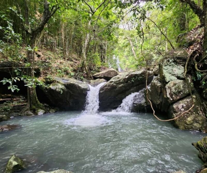 Nadi: Waterfall Tour Adventure with Refreshments and Lunch - The Details of the Tour Experience