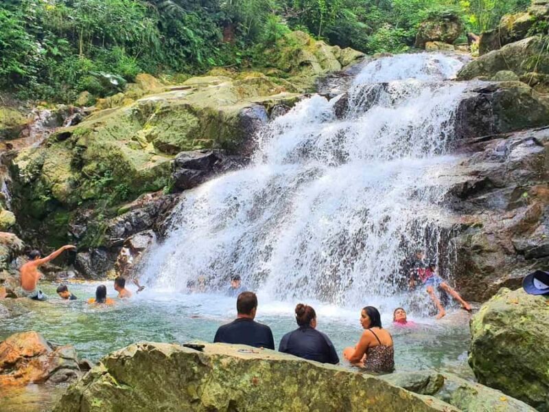 Nadi: Zipline, Waterfalls, and Jungle Safari Tour with Lunch - Key Points