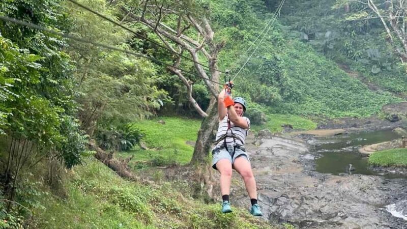 Nadi: Zipline, Waterfalls, and Jungle Safari Tour with Lunch - The Value of the Experience