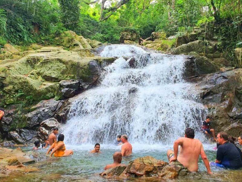 Nadi: Zipline, Waterfalls, and Jungle Safari Tour with Lunch - FAQ
