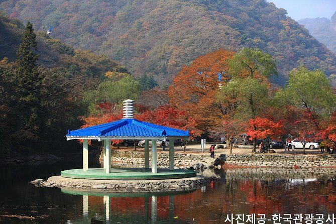 Naejangsan National Park Autumn Foliage One Day Tour from Busan - The Experience in Detail