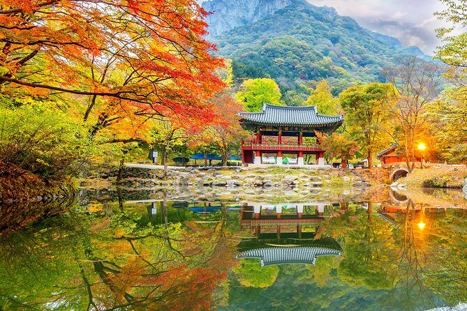 Naejangsan National Park Autumn Foliage One Day Tour from Busan - The Sum Up