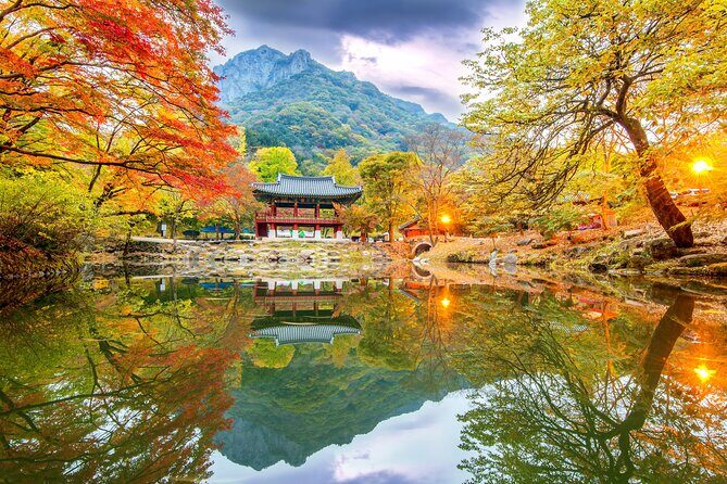 Naejangsan National Park Autumn Foliage One Day Tour from Seoul - Journey to Korea’s Autumn Wonderland: What to Expect