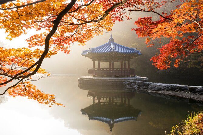 Naejangsan National Park Autumn Foliage One Day Tour from Seoul - The Sum Up: Is It Worth It?