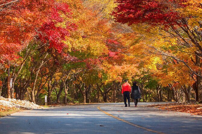 Naejangsan National Park Autumn Foliage One Day Tour from Seoul - FAQ