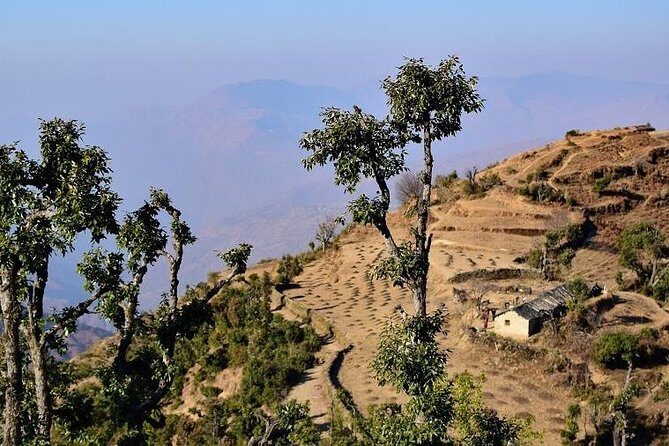 Nag Tibba 2 Days Trek (Pantwari to Pantwari) - FAQ Section