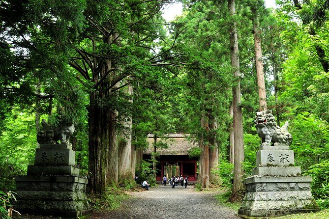 Nagano All Must-Sees 4hr Private Tour with Licensed Guide - Who Will Benefit Most?