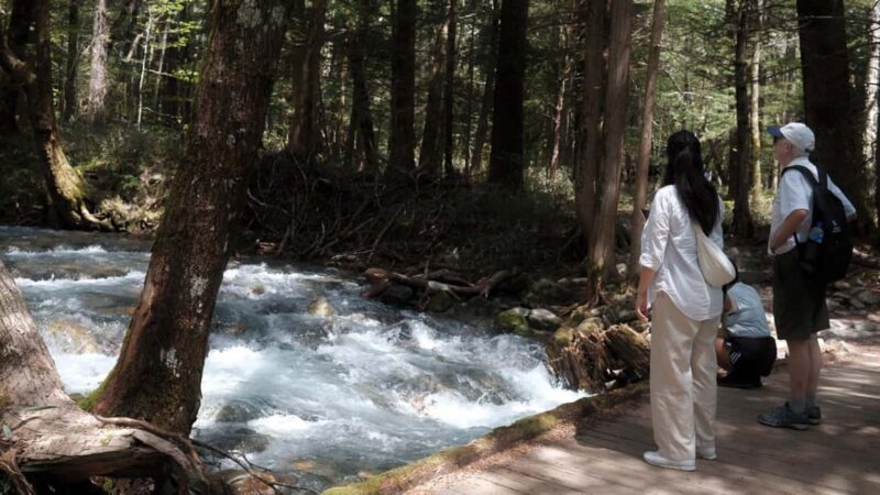 Nagano Autumn special: Kamikochi & Wasabi Farm & Winery - Who Will Love This Tour?