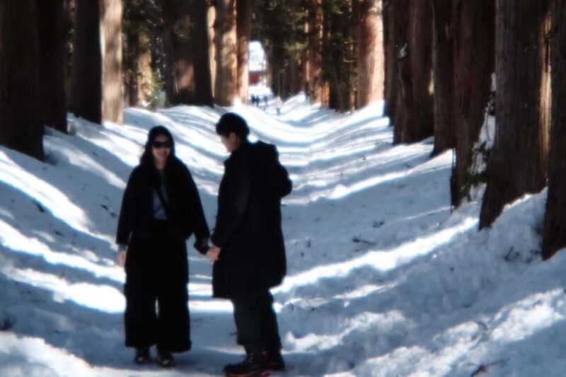 Nagano: Half-Day Private Tour Togakushi Shrine - The Sum Up