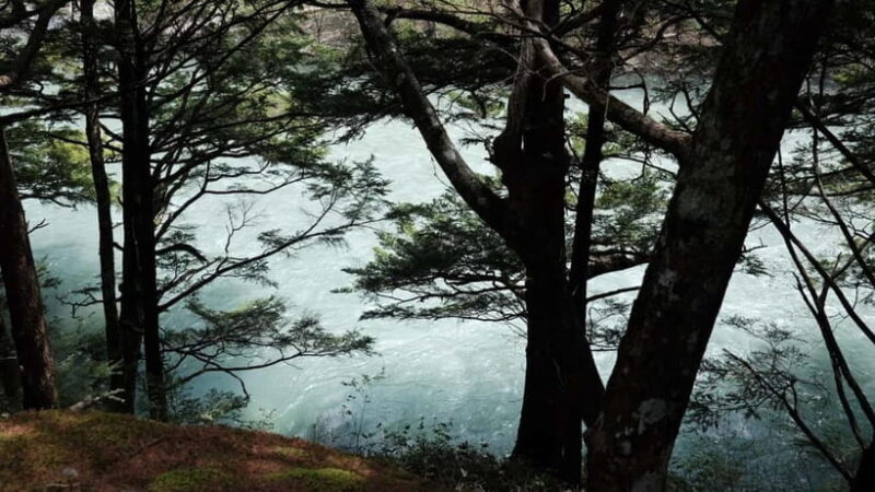 Nagano / Matsumoto / Takayama: Kamikochi Private Tour - Who Will Love This Tour?