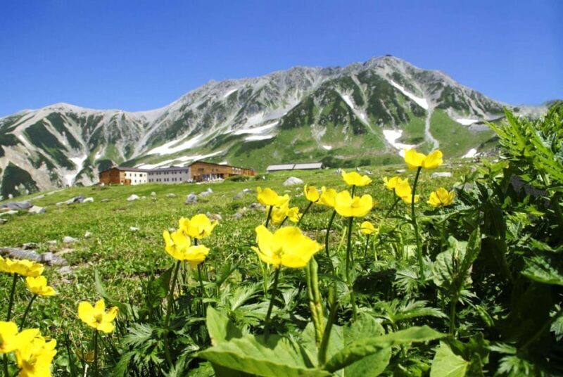 Nagano: Tateyama-Kurobe Guided Walking Tour - Key Points