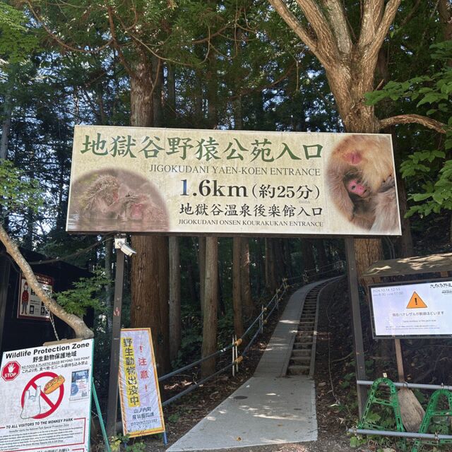 Nagano/Tokyo: Snow Monkey Private Day Tour At Lowest Rate - What to Expect from this Nagano/Tokyo Private Tour