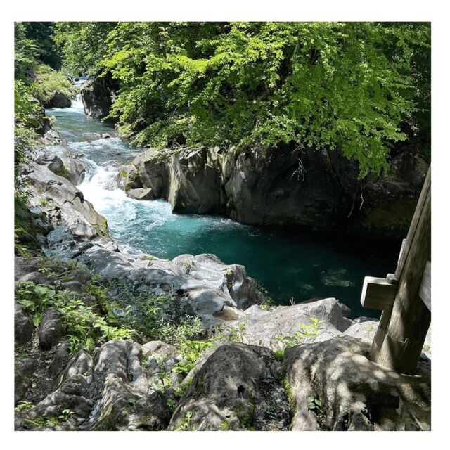 Nagano/Tokyo: Snow Monkey Private Day Tour At Lowest Rate - Who Will Love This Tour?