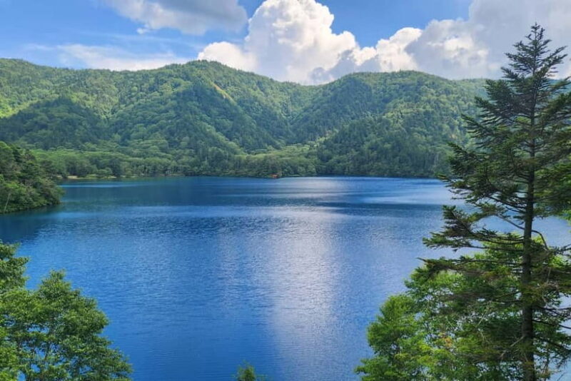 Nagano UNESCO Park: Emerald Acid Lake & Ghibli Onsen Town - Key Points