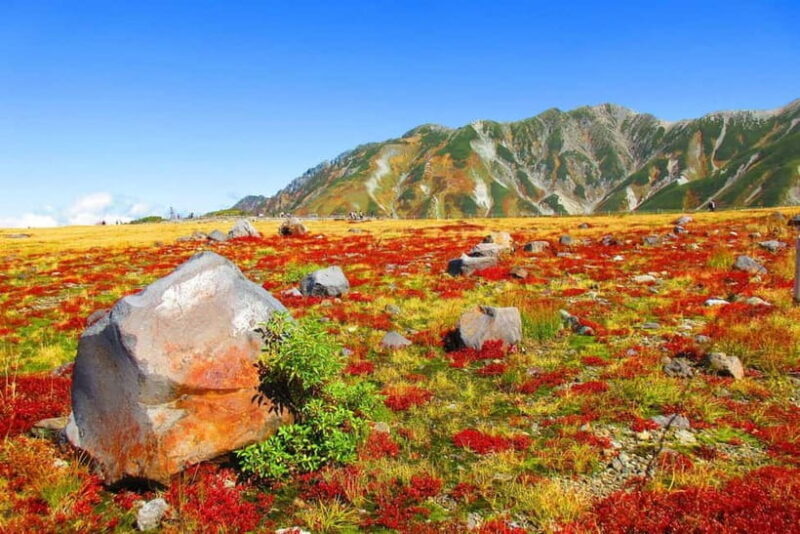 Nagano: Worlds Edge Tateyama Kurobe Alpine Route Tour - Who This Tour Is Best For