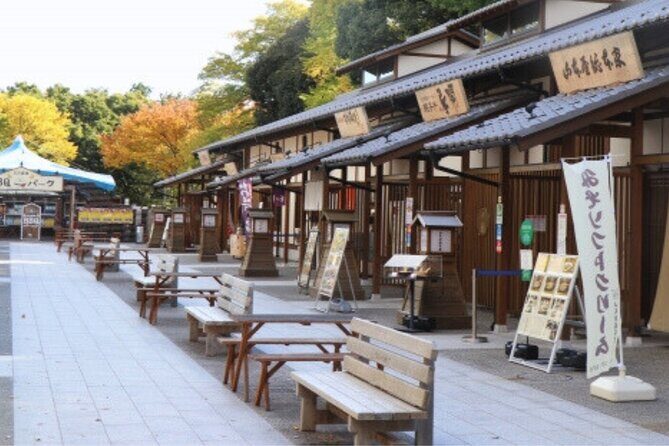 Nagoya Castle and Local Flavor Samurai Tales and Street Food Walk - Practical Details and Tips
