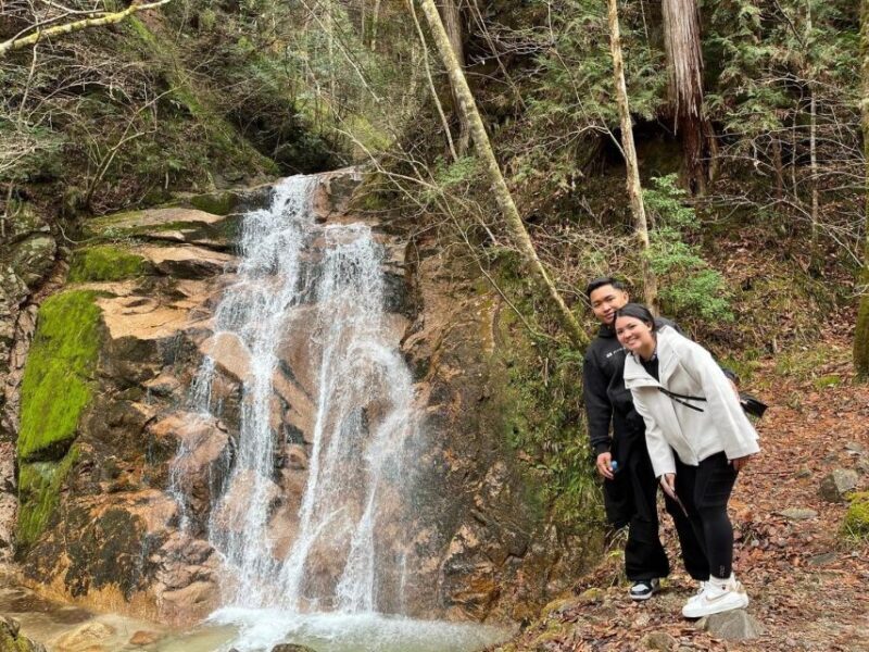 Nagoya: Full-day Kisoji Nakaendo Trail Tour - Who Will Love This Tour?