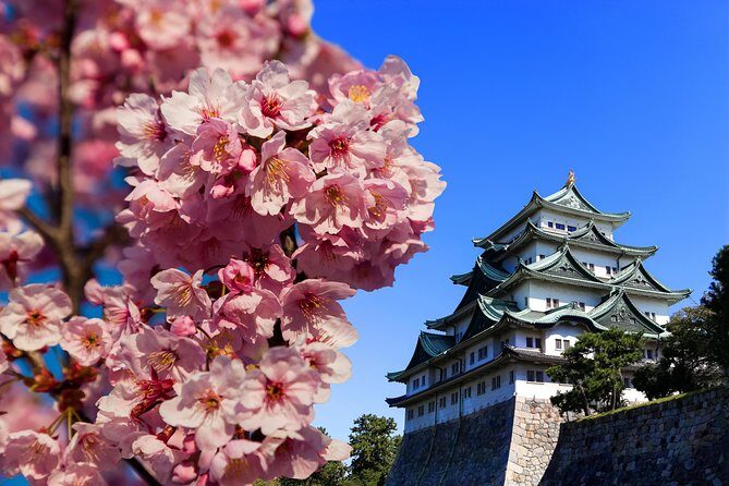 Nagoya Highlights & Hidden Gems: Private Tour with a Local - What Makes This Tour Special?