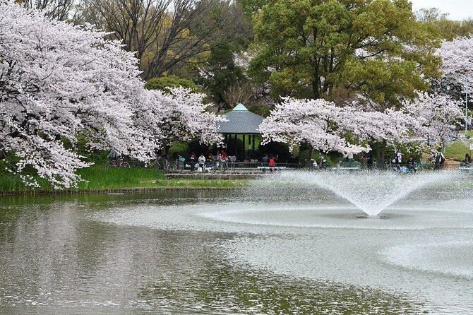 Nagoya Private Customizable Full Day Tour - Atsuta Shrine: A Spiritual Sanctuary