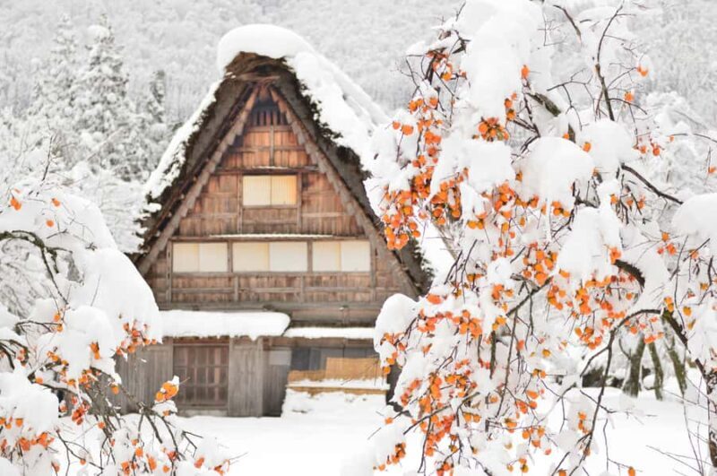 Nagoya: Shirakawa-go, Gujo, Hida Takayama Historic Day Tour - Key Points