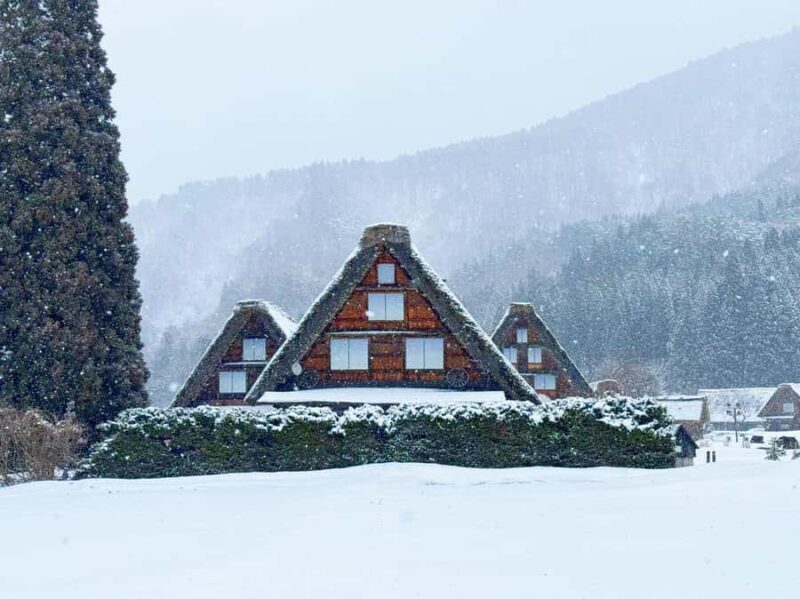 Nagoya: Shirakawa-go, Gujo, Hida Takayama Historic Day Tour - Practical Tips for Travelers