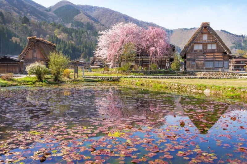 Nagoya: Shirakawa-go, Gujo, Hida Takayama Historic Day Tour - FAQ