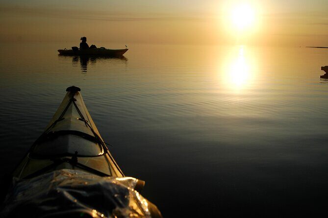 Nags Head Kayak Tour - Evaluating the Value