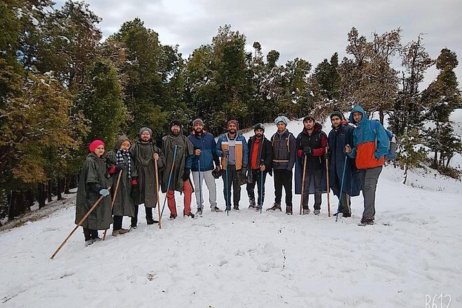 Nagtibba Trek (Dehradun to Dehradun) - An In-Depth Look at the Nagtibba Trek Experience