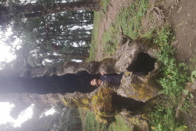 Nagtibba Trek (Pantwari to Pantwari) - Practical Tips for Visitors
