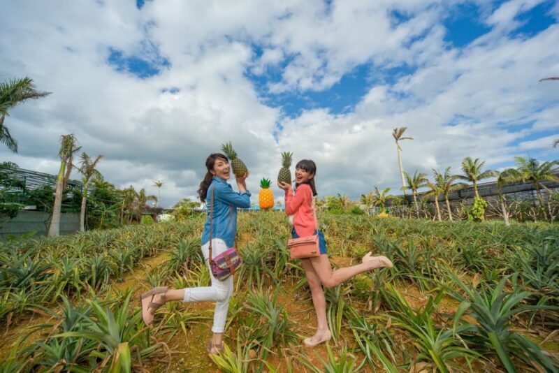 Naha: North Okinawa Sightseeing Tour & Churaumi Aquarium - What’s Included and What to Expect