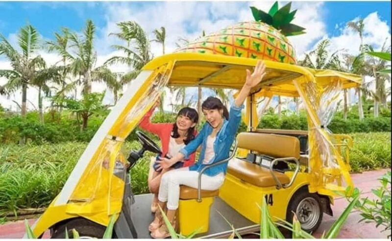 Naha: North Okinawa Sightseeing Tour & Churaumi Aquarium - Final Words