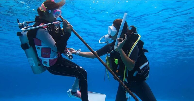 Naha, Okinawa: Kerama Islands Full-Day Intro-Diving Trip - The Food and Facilities
