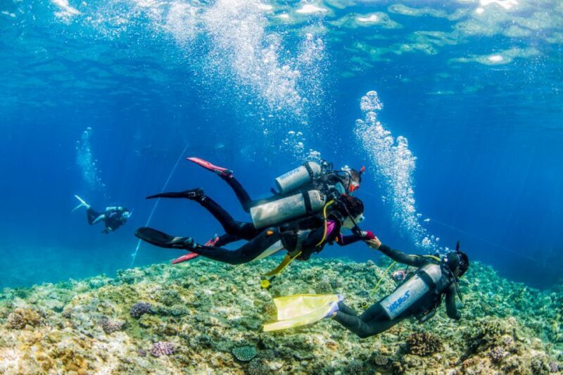 Naha, Okinawa: Kerama Islands Full-Day Intro-Diving Trip - The Practicalities: What You Need to Know