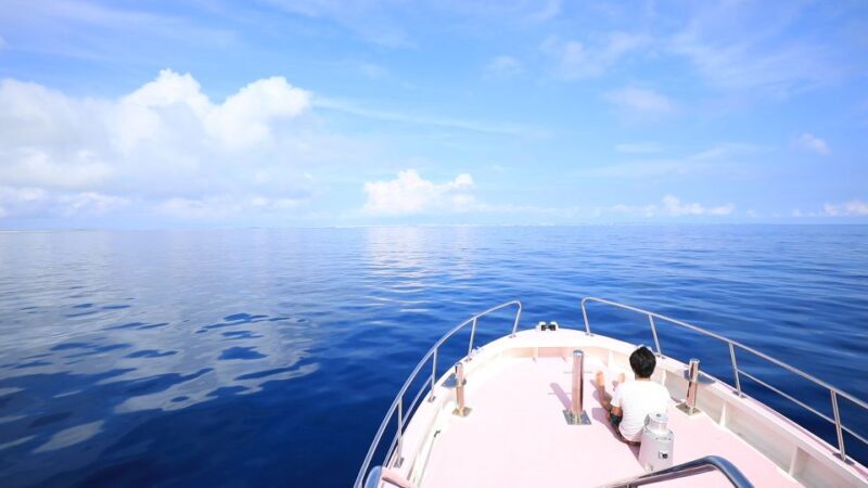Naha, Okinawa: Kerama Islands Half-Day Whale Watching Tour - The Authenticity and Ethical Considerations