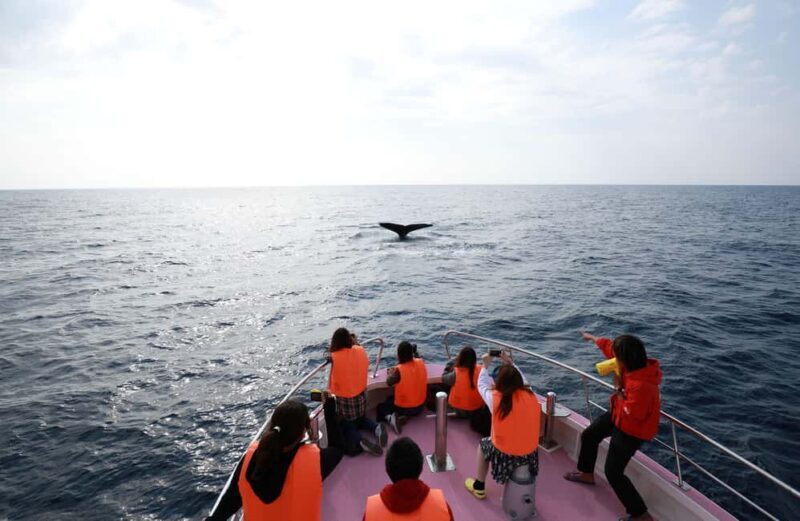 Naha, Okinawa: Kerama Islands Half-Day Whale Watching Tour - Final Thoughts