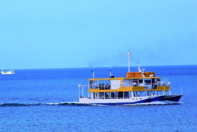 Naha: "Orca" Spotting Glass Bottom Boat & Sams Famous Steak - Who Is This Tour Best Suited For?