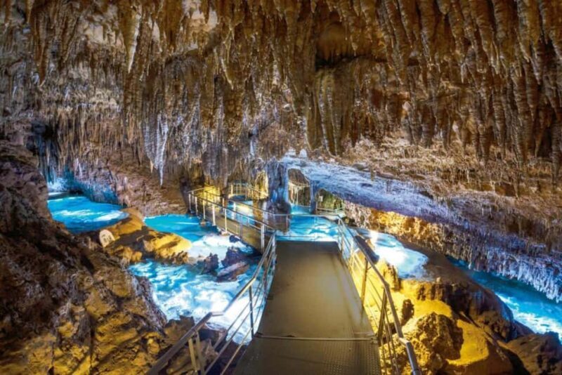 Naha: Southern Okinawa,Scenic view,fruit picking,BBQ Lunch - The Exciting Itinerary Breakdown