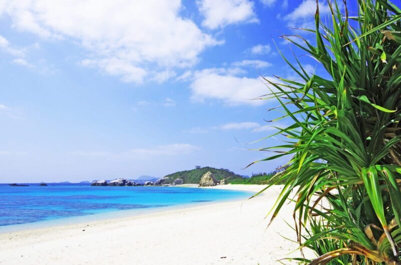Naha: Tokashiki Day Trip & Kerama Islands Scuba Diving Trip - FAQ