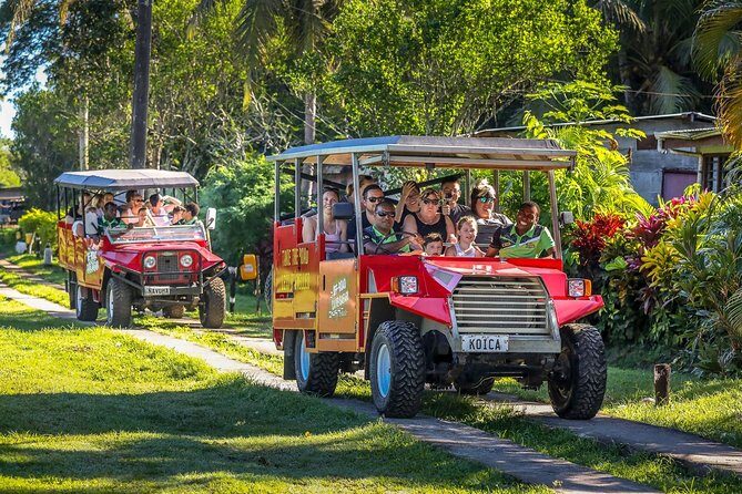 Naihehe Cave Safari in Sigatoka with BBQ Lunch - Who Should Consider This Tour?