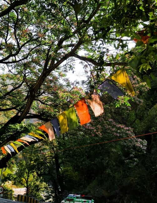 Nainital, Bhimtal, and Sattal Lake Tour 2N/3D getaway - Who Should Consider This Tour?
