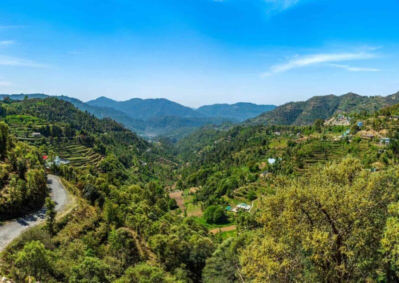 Nainital Nature Trekking Experience (4 Hours Experience) - Discovering Nainital’s Natural Treasures