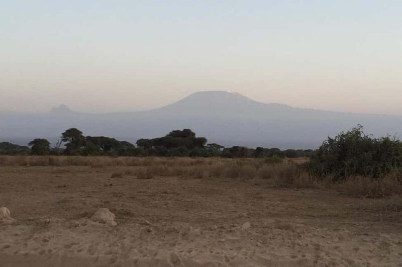 Nairobi: 2 Days Amboseli National Park Safari with Entry Fee - The Itinerary Breakdown