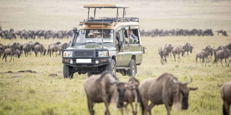 Nairobi: 3-Day Masai Mara Game Reserve Safari with Flights - Key Points