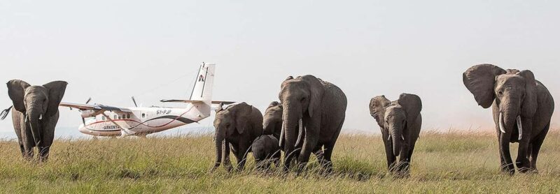 Nairobi: 3-Day Masai Mara Game Reserve Safari with Flights - The Itinerary: What You Can Expect