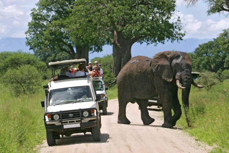 Nairobi: 3-Day Safari in Amboseli National Park Camp - Introduction